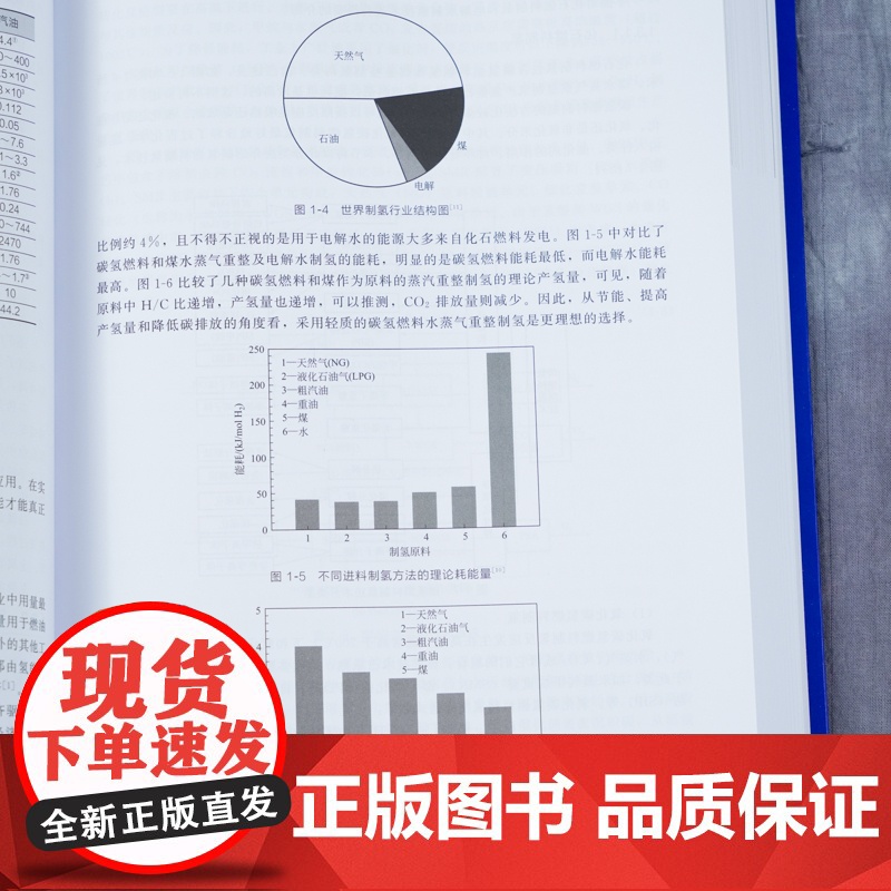 氢能利用关键技术系列 氢气储存和输运 吴朝玲 李永涛 李媛 氢能重点研发计划 氢能储能发电氢能源利用储能发电研究人员参考高清大图