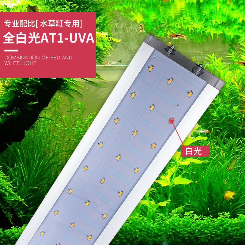 povi 珀誉全光谱led水灯水族鱼缸专用灯 专业红水陆造景灯高清大图