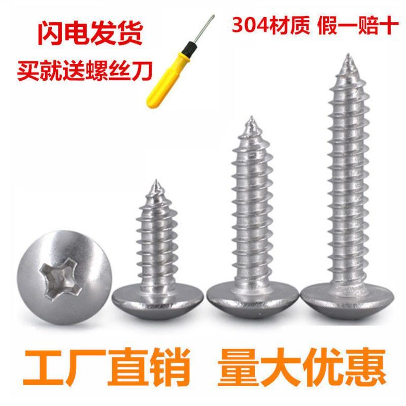 304不锈钢大扁头自攻螺丝M3M4*M5M6十字蘑菇头自攻螺丝伞头木螺钉 M3*6(240颗)送螺丝刀