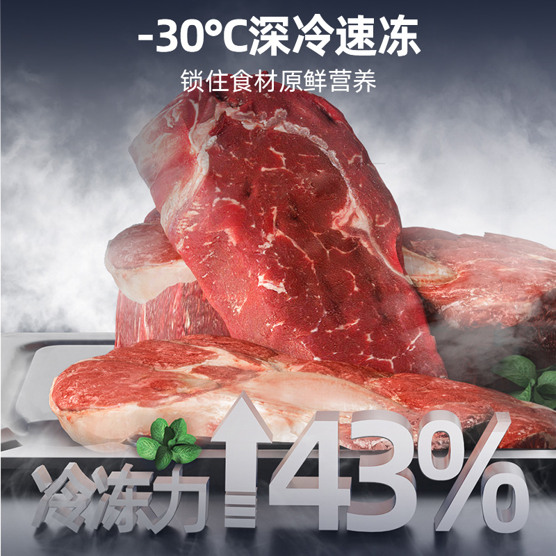 星星(XINGX)家用商用大容量风冷无霜一级能效节能冰柜单温冷藏冷冻转换柜超市便利店雪糕柜BD/BC-120WKE高清大图