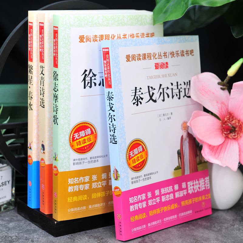 [正版]现代诗歌精选全4册 赠3本考题册 无障碍阅读 泰戈尔诗选+徐志摩诗歌+艾青诗选+繁星春水 完整版无删减 中小学生图片