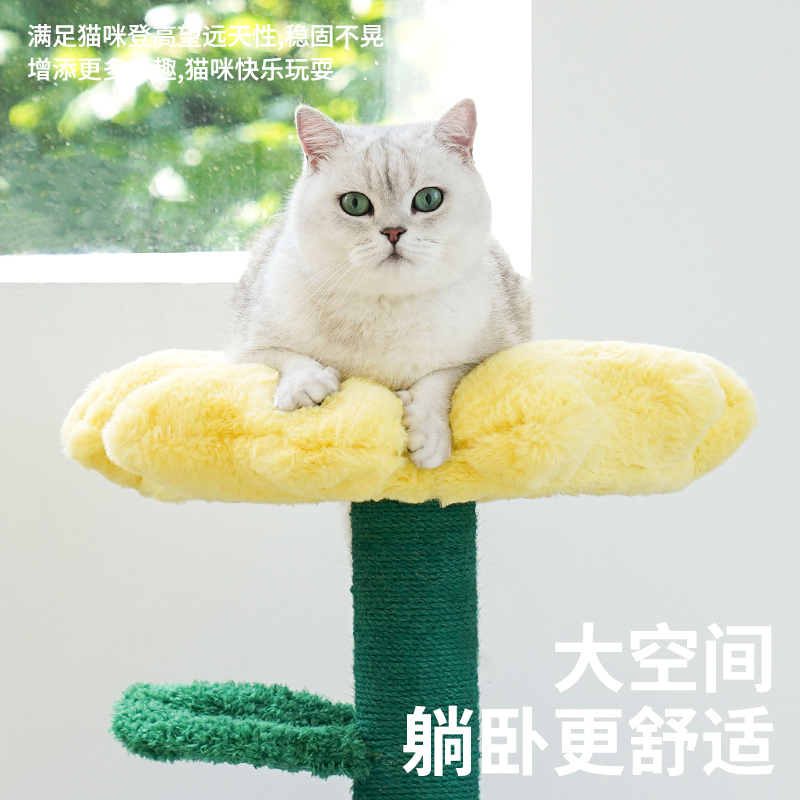 ZEZE向上花盆栽宠物屋Z1B00147高清大图