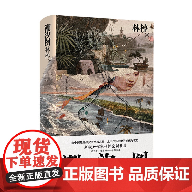 潮汐图 林棹豆瓣年度作者 2022年宝珀文学奖获奖作品 当代文学精装正版书上海文艺出版社长篇小说 另著流溪高清大图