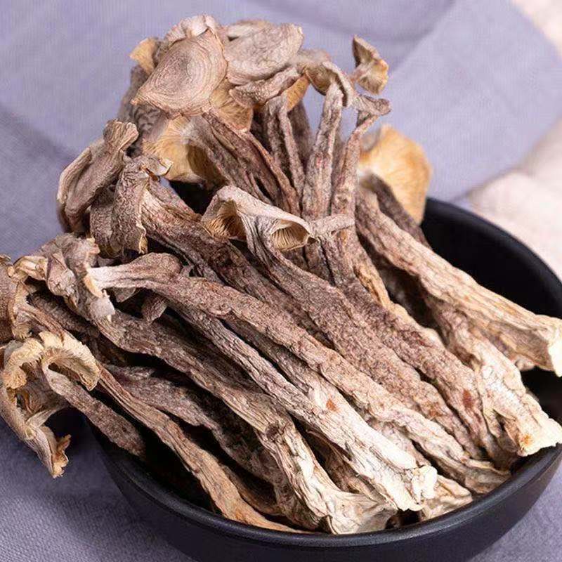 鹿茸菌新货鹿茸菇新鲜香菇干货福建特产鹿茸菇可批发