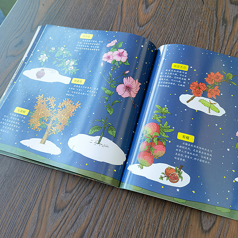 谷物如何生长 [正版]自然传奇系列图书 任选谷物如何生长 鸟儿怎样建巢 生物相依为命 植物能活几岁 儿童科普绘本自然界万高清大图