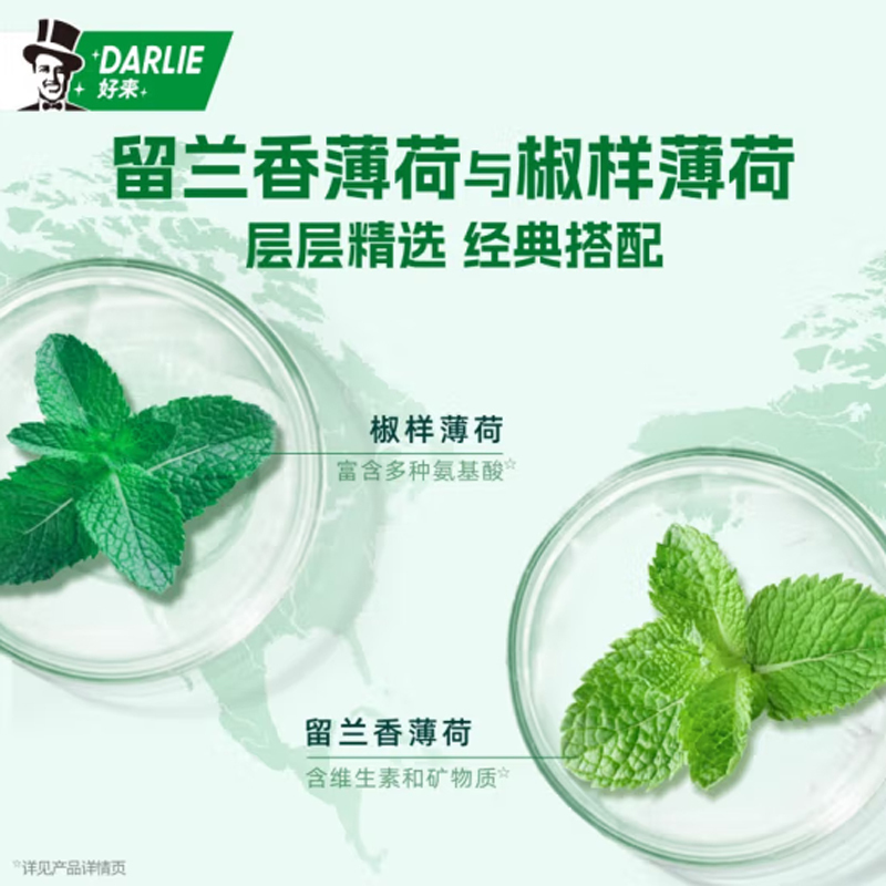 DARLIE好来(原黑人)双重薄荷牙膏175g 清新口气 防蛀固齿(新旧随机)高清大图