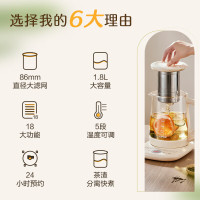 苏泊尔(SUPOR)养生壶1.8L大容量煮茶器煮茶壶304不锈钢电水壶保温花茶壶烧水壶带滤网 SW-18YJ15A