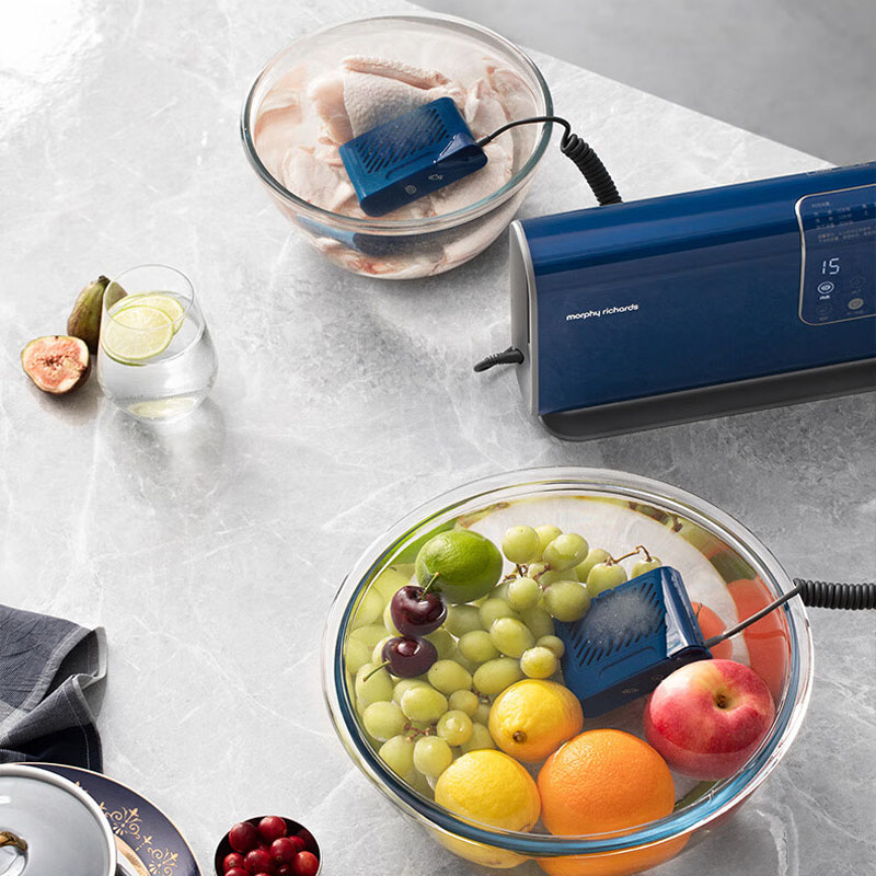 摩飞电器(MORPHY RICHARDS)MR2061食物净化器高清大图