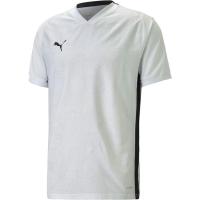 彪马(Puma)男款吸湿排汗运动T恤 soccer jersey 足球训练衫透气舒