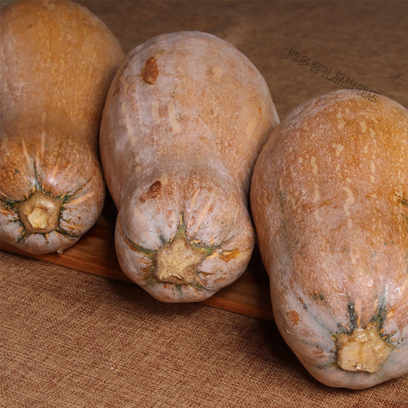 湛航云南高原老南瓜蜜本瓜新鲜甜糯南瓜孕妇宝宝辅食南瓜农家自种