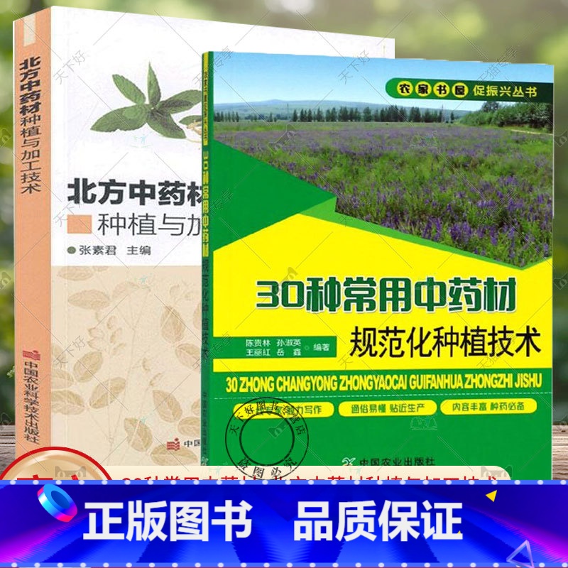 【正版】北方中药材种植与加工技术+30种常用中药材规范化种植技术 甘草板蓝根柴胡枸杞沙棘党参等常见中药材栽培种植技术大