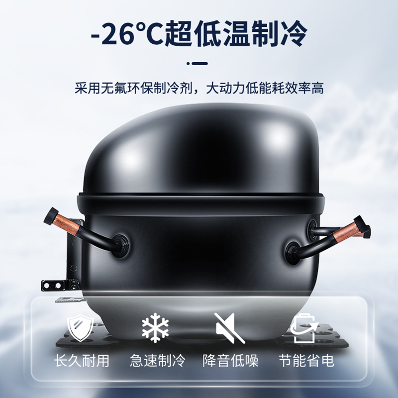 澳柯玛(AUCMA) 展示柜 SD-200FC 200升-26℃度商用大容量大型保鲜冷柜