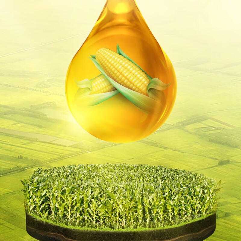福临门营养家活粒鲜胚玉米胚芽油5L高清大图