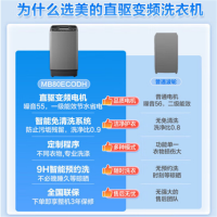 美的(Midea)波轮洗衣机全自动 8kg大容量直驱变频 MB80ECODH