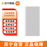 小米充电宝 10000mAh 22.5W 移动电源 双向快充 多口输出 PD快充 适用小米苹果安卓 银色