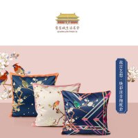 故宫抱枕