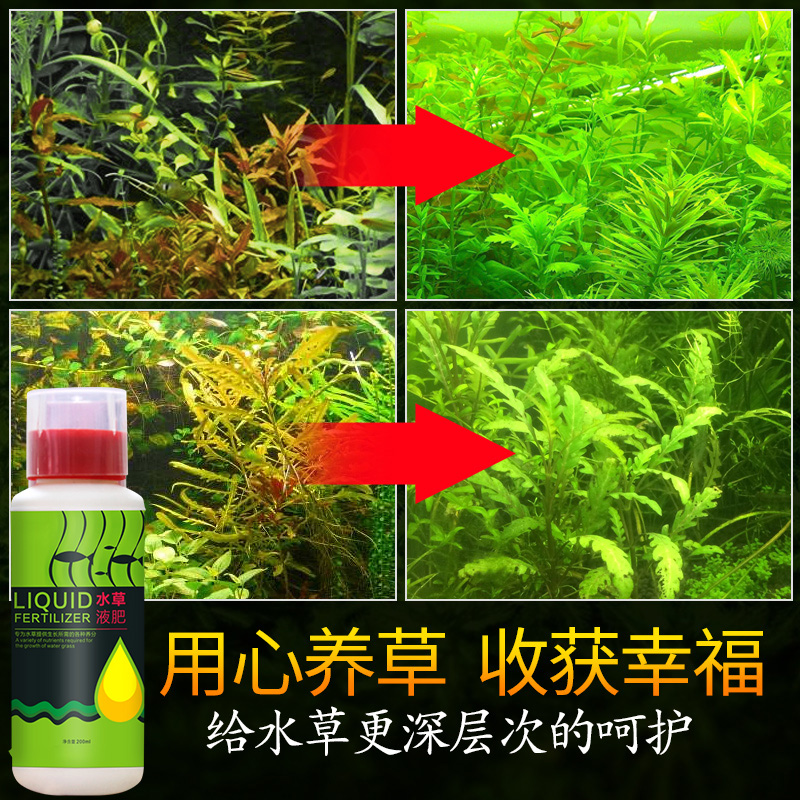 水液肥基肥底肥鱼缸造景肥不伤鱼缸水族箱水根肥营养液高清大图