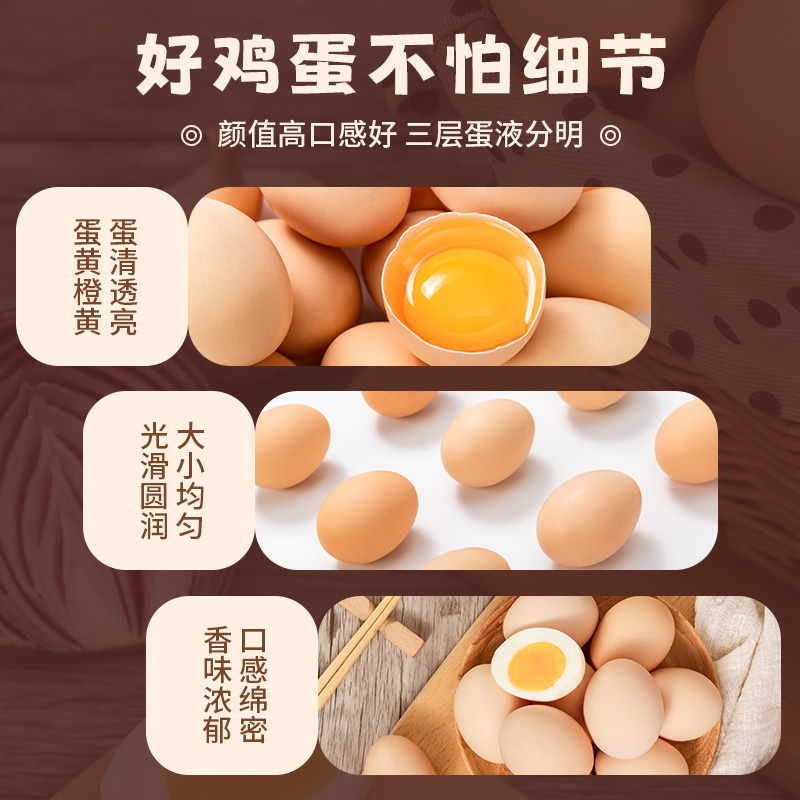 雀淘 AA级皖南新鲜土鸡蛋20枚正宗农家橙心鸡蛋营养早餐高清大图