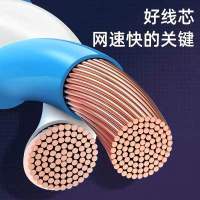 [补贴10%]网线家用千兆超6六类5类高速电脑成品路由器连接线宽带网络对接头 黑色[六类千兆]高速不卡顿