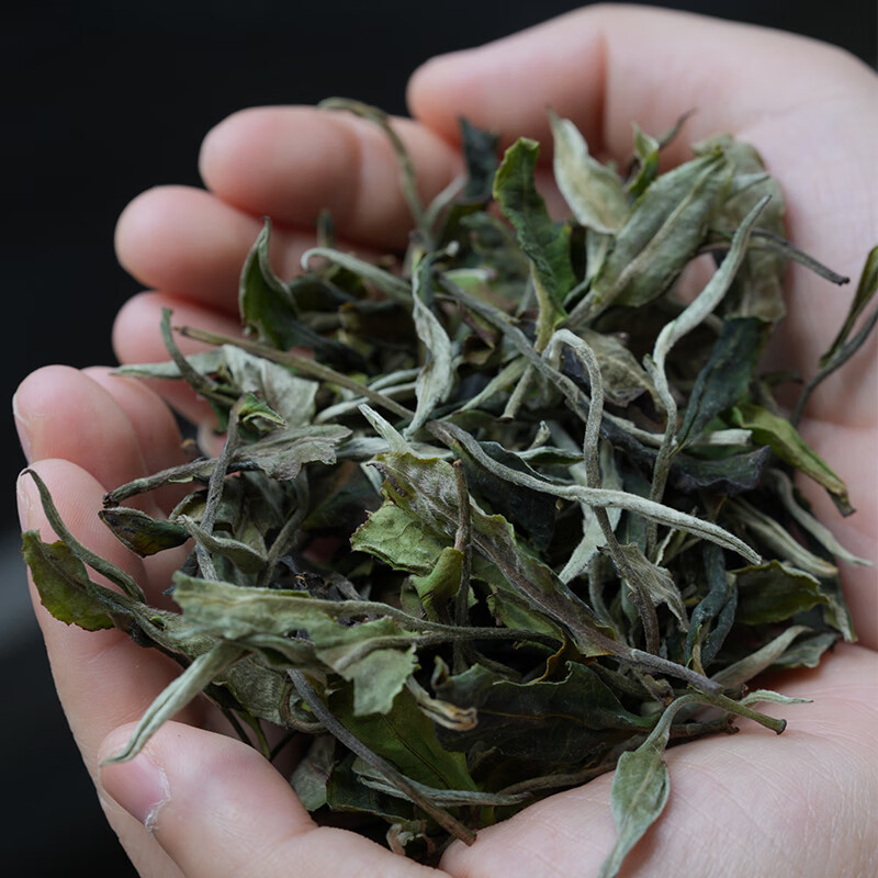 津乔2024年绿羽白云南古树茶叶大叶种古树白茶散茶150g礼盒送礼高清大图