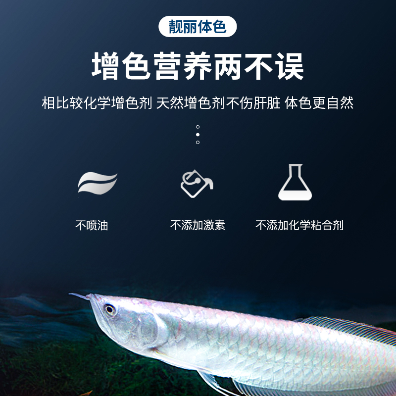 银龙鱼饲料专用鱼食红龙鱼金龙鱼观赏鱼增色曾艳促长高清大图
