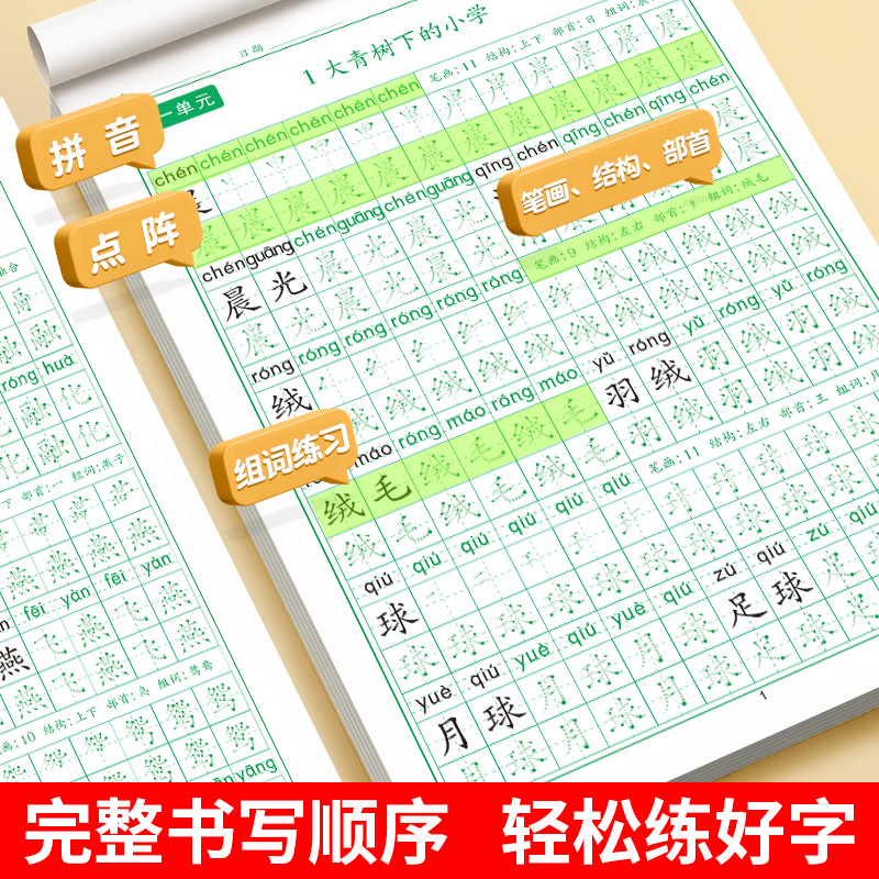 [2年级上下] 同步字帖+口算题卡+应用题 [正版]一二三四年级同步练字帖上册下册人教版语文同步字帖写字练字笔画笔顺字词高清大图