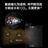 戴森(DYSON)空气净化器 输出洁净凉风 大面积净化异味和过敏原 滤除花粉 宠物毛发 BP03(镍蓝色)