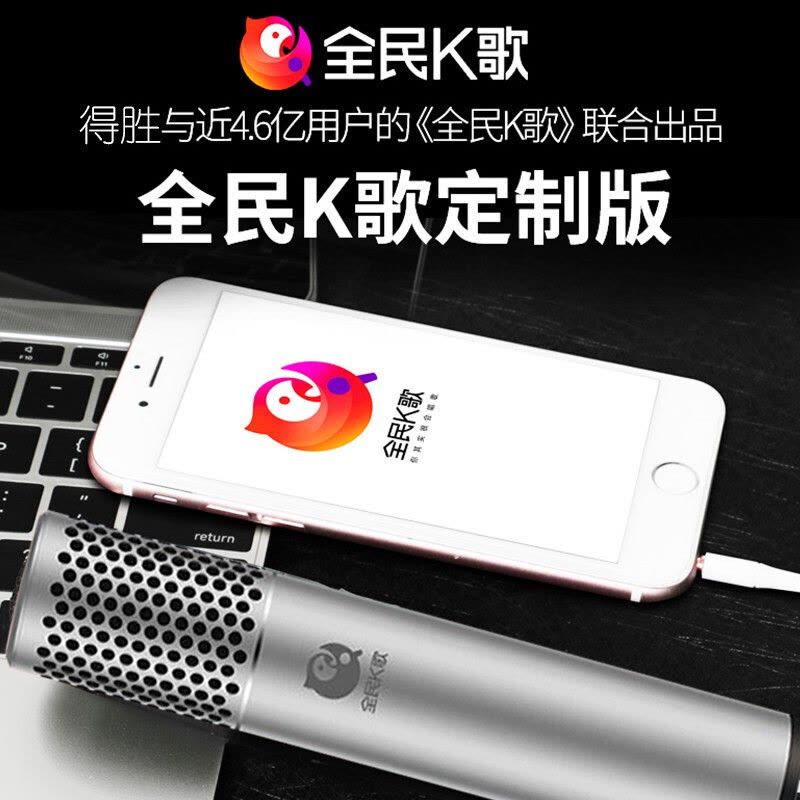 得胜(TAKSTAR)Q6全民K歌手机麦克风 k歌神器直播唱歌设备声卡套装话筒电容麦克风德胜图片