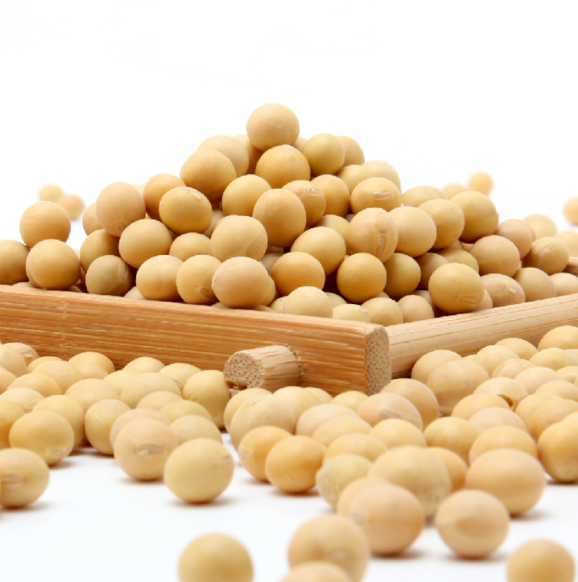 艾谷有机大豆1.9kg 大罐装 可打豆浆高清大图