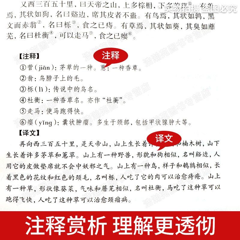 [醉染正版]精装名著全套4册 儒林外史 镜花缘 聊斋志异 山海经精装中国古代文学小说正版全本原著中国古典文学名著小说 书高清大图