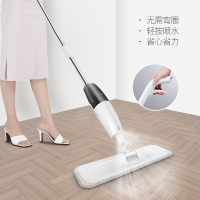 德尔玛(DEERMA)喷水非蒸汽拖把TB800基础款室内手持式 清扫角落 消毒清洁 非吸尘器