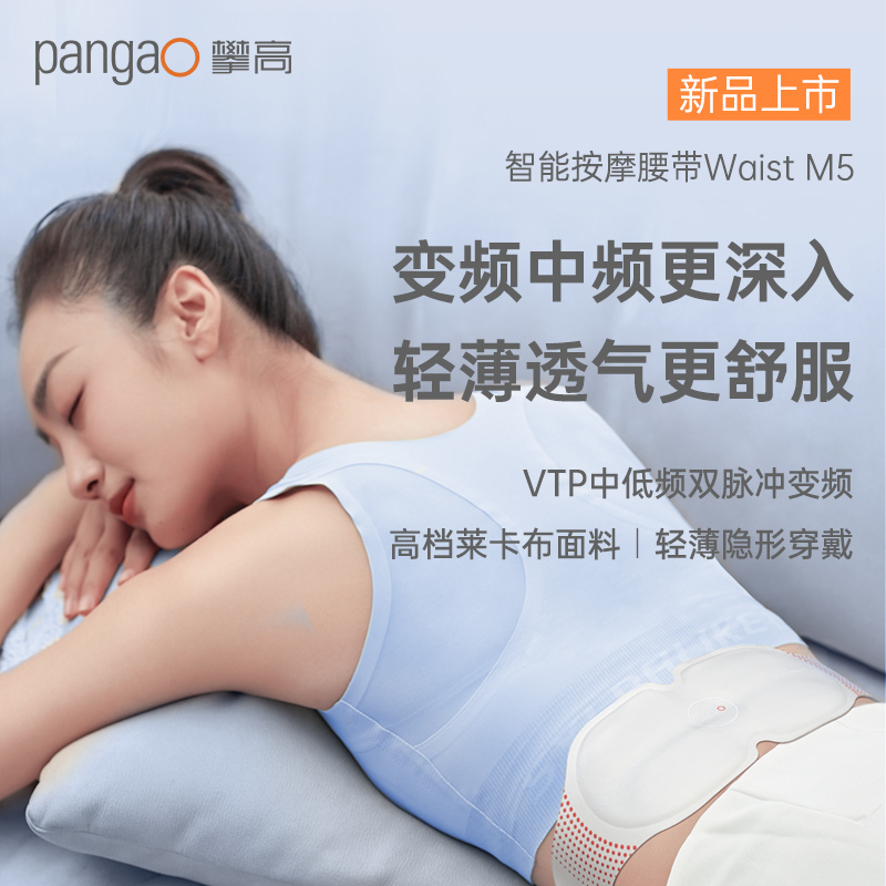 攀高(pangao)Waist M5智能腰腹部按摩仪5V 5W 白色高清大图