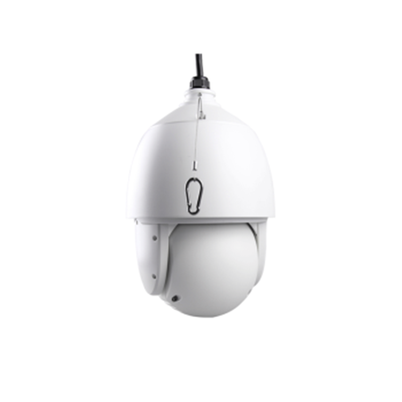 海康威视 (HIKVISION) 智能球形摄像机 DS-2DC6223IW-A 200万高清云台监控室外防水旋转智能球机
