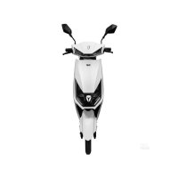 雅迪 T-锐诺E-C电摩版 新国标智能电动自行车[订制品不零售]