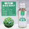 迷你对叶水草鱼缸装饰水草种子水草泥前景草真水草懒人造景速成草