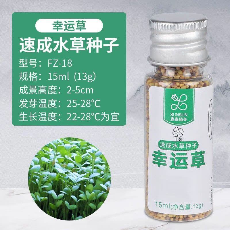 迷你对叶水草鱼缸装饰水草种子水草泥前景草真水草懒人造景速成草图片