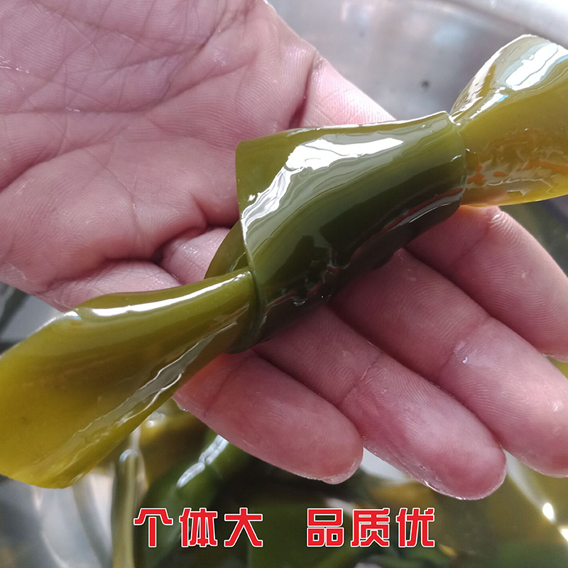 淳乡味 霞浦海带结 500克