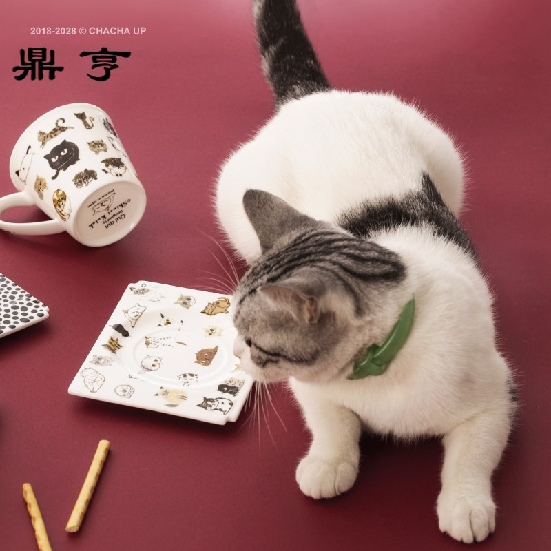 鼎亨日本加藤真治 手绘猫咪马克杯咖啡杯茶杯碟套装 两款入 猫奴