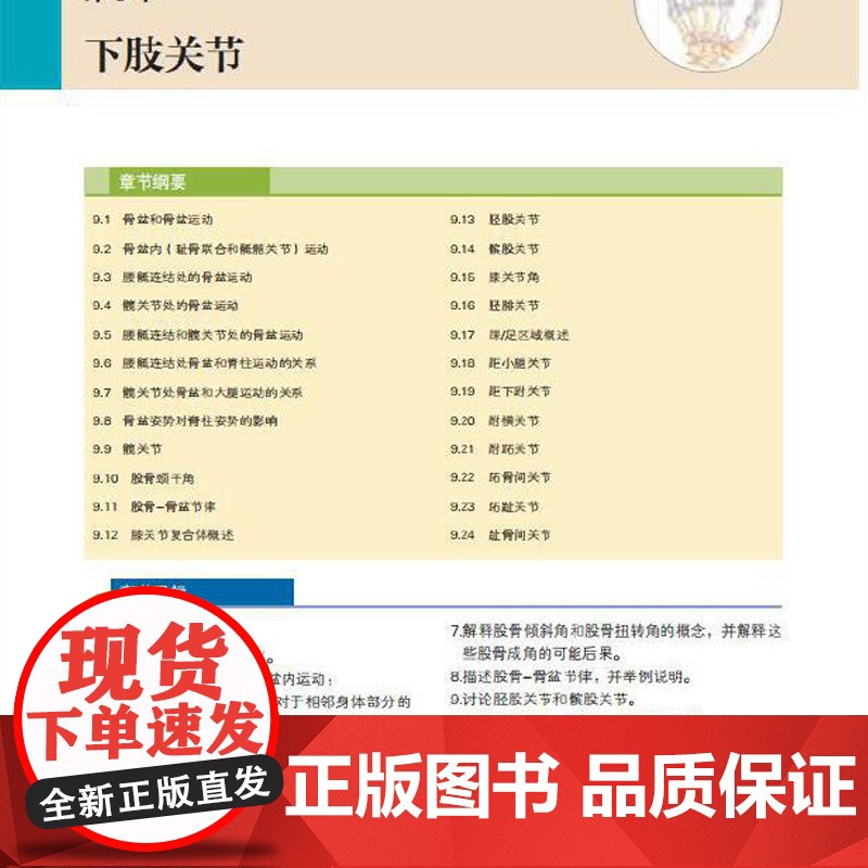 [央视网]肌动学 肌肉骨骼系统功能 第3版三版 组织筋膜关节运动运动轴关节部位肌肉起止点肌肉生理步态姿势拉伸HN高清大图