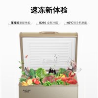 澳柯玛 103升 家用冰柜减霜超低温零下-40℃速冻冰箱冷柜