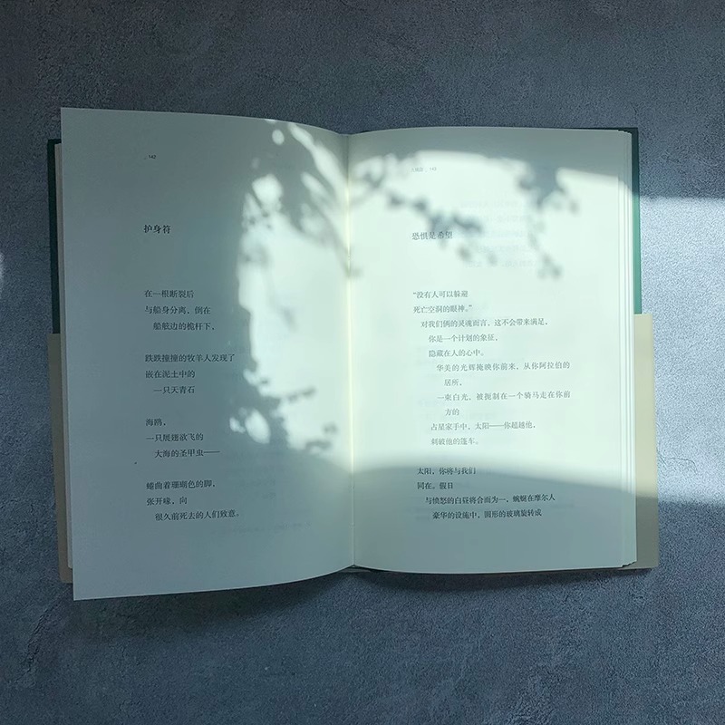 [正版] 九桃盘 巴别塔诗典精装版 美国20世纪重要女诗人玛丽安·摩尔诗歌精选集 美国诗歌文学作品赏析现代诗歌外国诗歌高清大图