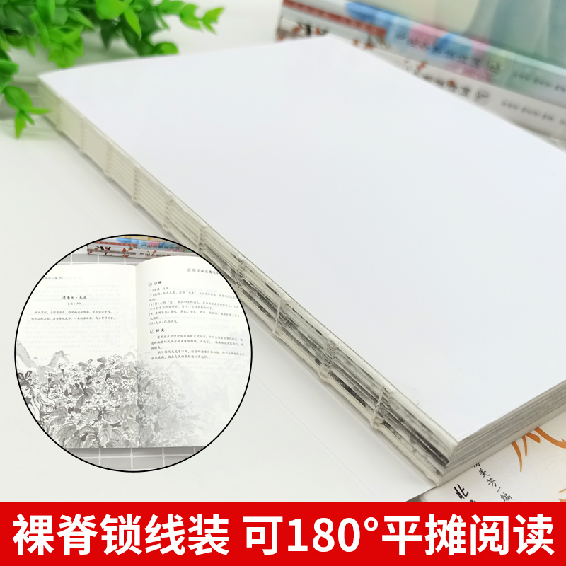 [正版] 飞花令里读诗词(全4册)青少年作文诗词名人名句诗词歌赋通用风花雪月以学引诗以诗解字北京日报出版社中国当代高清大图