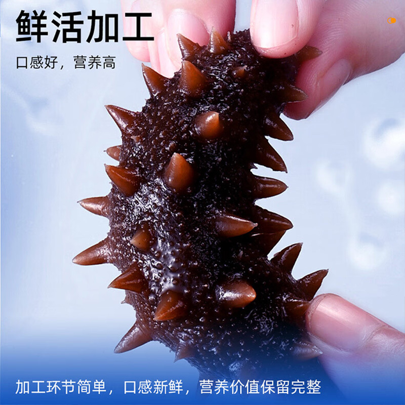 星龙港食品礼盒海之精华款1000g(10-14头)大连即食海参高清大图