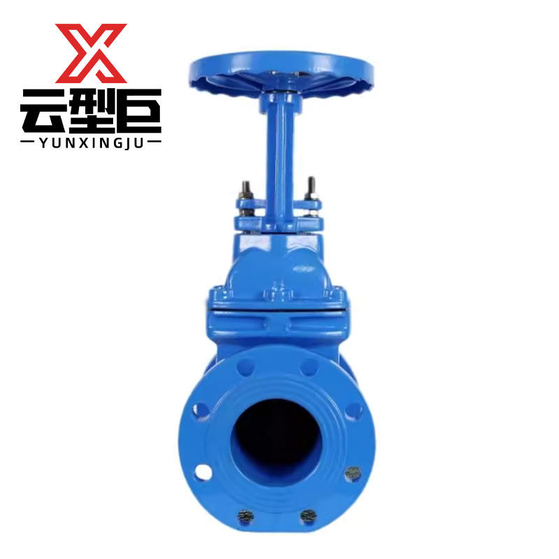 云型巨 软密封明杠闸阀 Z41X-16/DN125 个高清大图