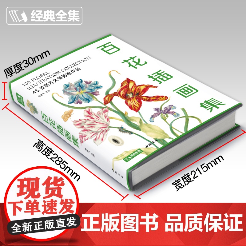 新书 [精装]百花插画集 45位西方大师手绘插画作品集 水彩植物花卉插画版画博物画图谱原作正版临摹教材书籍 经典全集 杨高清大图