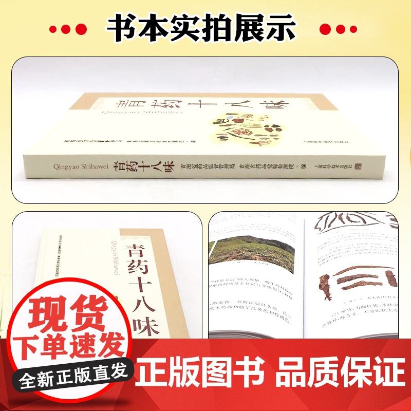 青药十八味 上海科学技术出版社 9787547865132高清大图