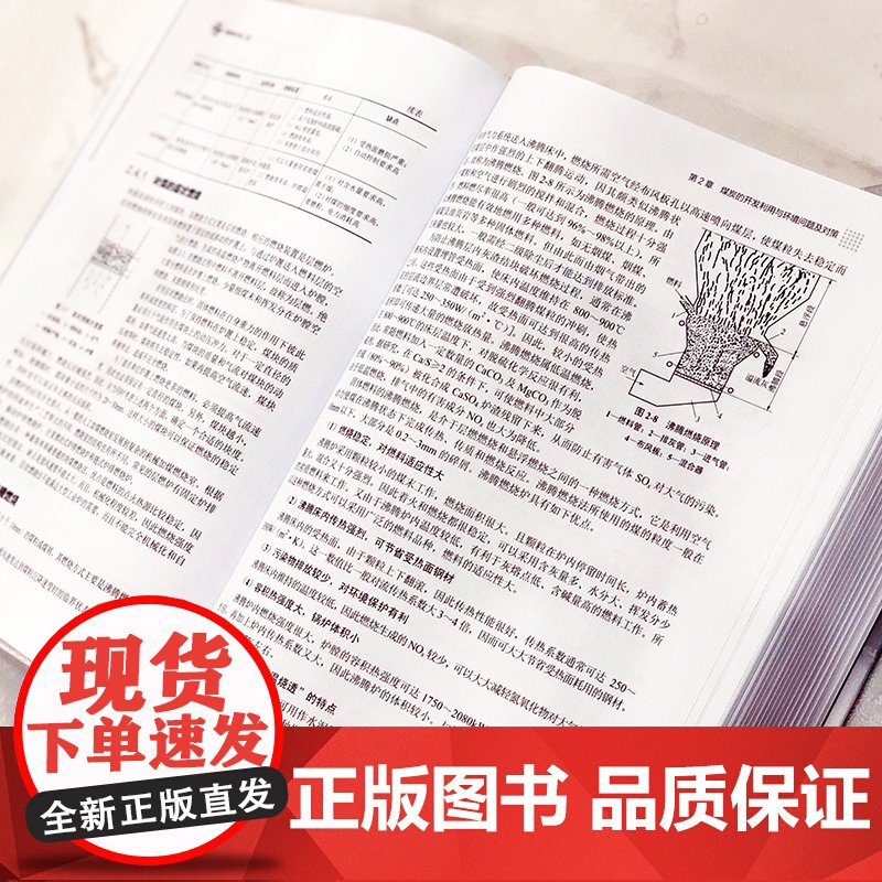 能源环境工程 廖传华 王小军 可再生能源开采和利用方式技术方法工艺过程及主要设备书籍 煤炭石油太阳能风能生物质能新能源技高清大图