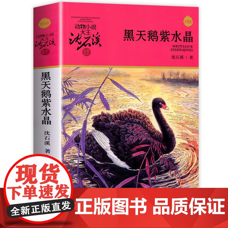 黑天鹅紫水晶 升级版 动物小说大王沈石溪品藏书系 正版 四年级课外阅读书目 小学生儿童文学 课外读物书籍高清大图