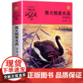 黑天鹅紫水晶 升级版 动物小说大王沈石溪品藏书系 正版 四年级课外阅读书目 小学生儿童文学 课外读物书籍读书阅