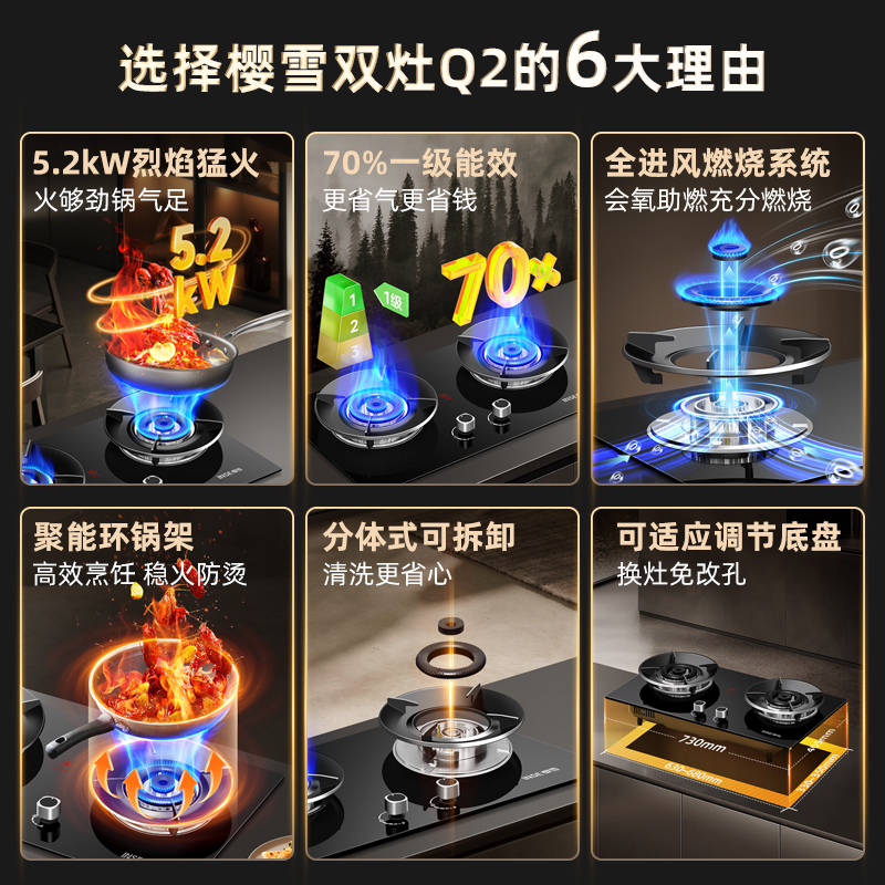 樱雪INSE燃气灶液化气 双灶具 家用5.0kW猛火灶灶台嵌两用 70%高热效 可调节底盘Q2高清大图